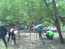 Telstra volunteers planting