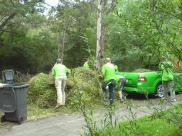 Telstra volunteers disposing of weeds