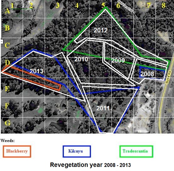 site map with weeds, grid and year planned for revegetation